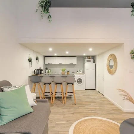 Duplex Design Proche Part-dieu * Villeurbanne